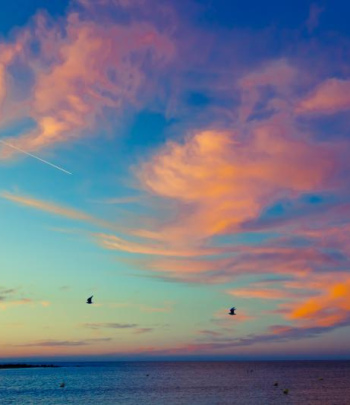 Birds fly in front of a gorgeous sunrise