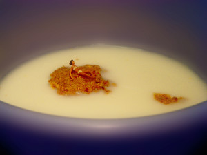 cereal bowl with tiny person swimming on one last cornflake in a sea of old milk